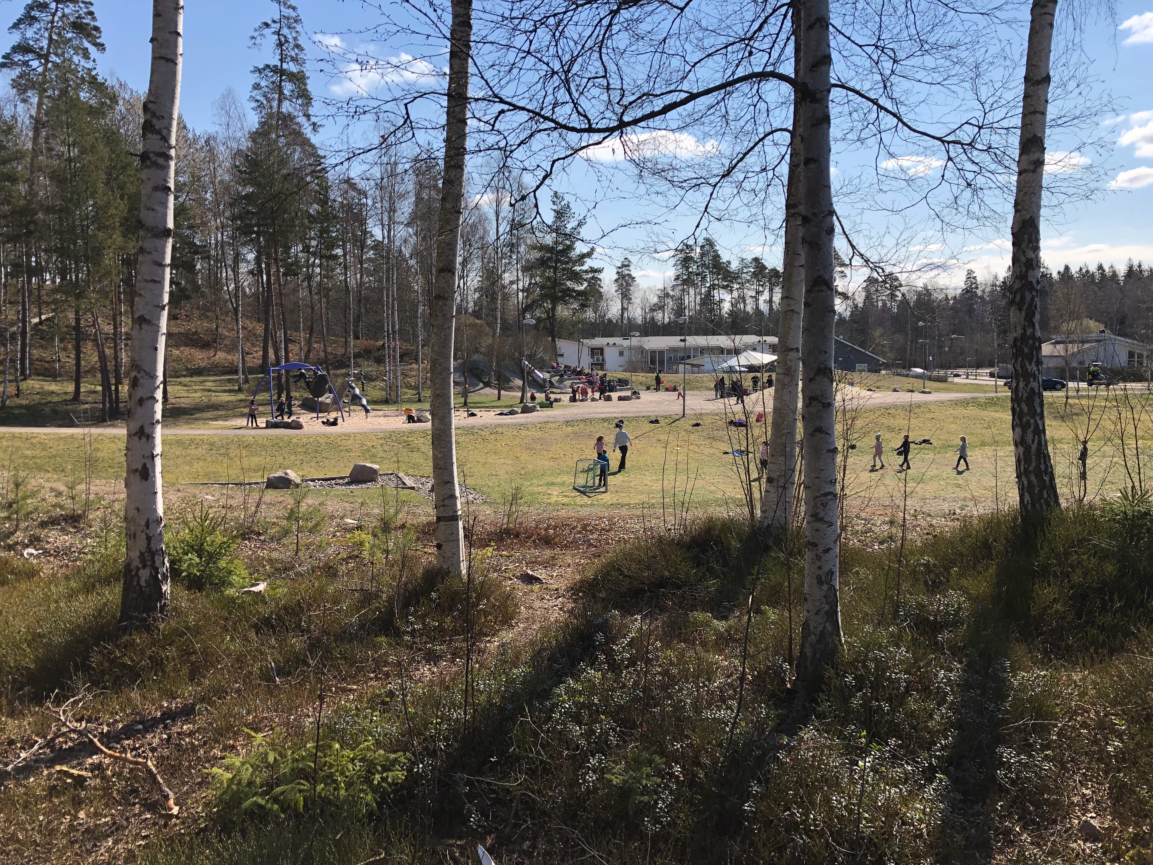 I förgrunden finns stora björkar sen kommer ängen med lekande barn.