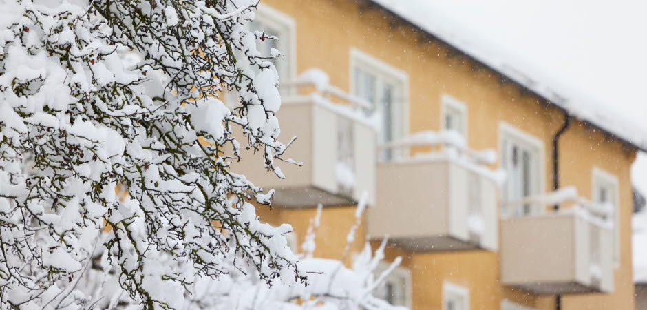 Snötyngd gren framför ljusgult flerbostadshus