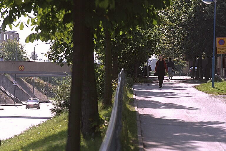 Gångväg separerad från bilgatan med ett brett stråk av gräs och träd.