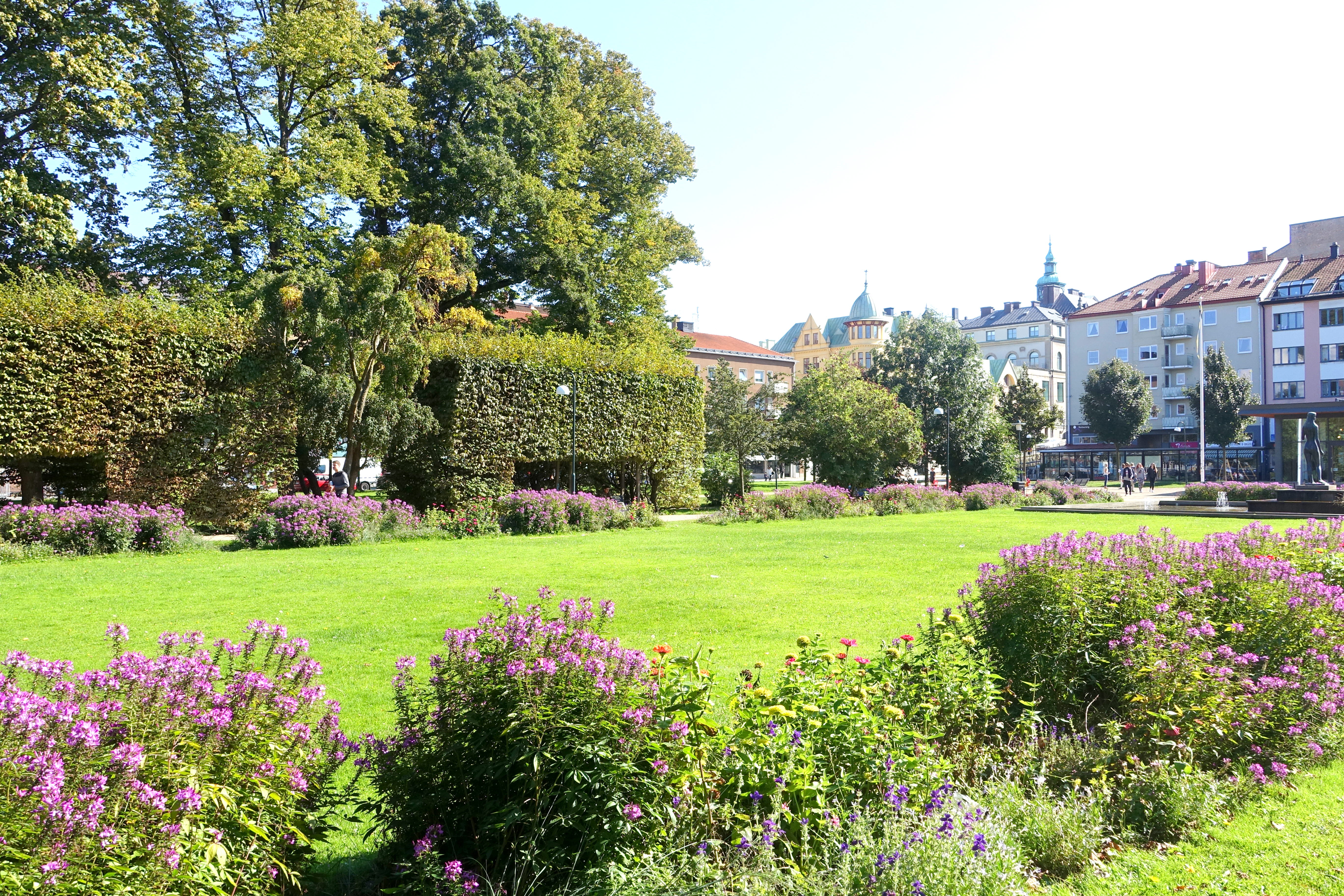 Park med gräsmatta, blommor och buskar.