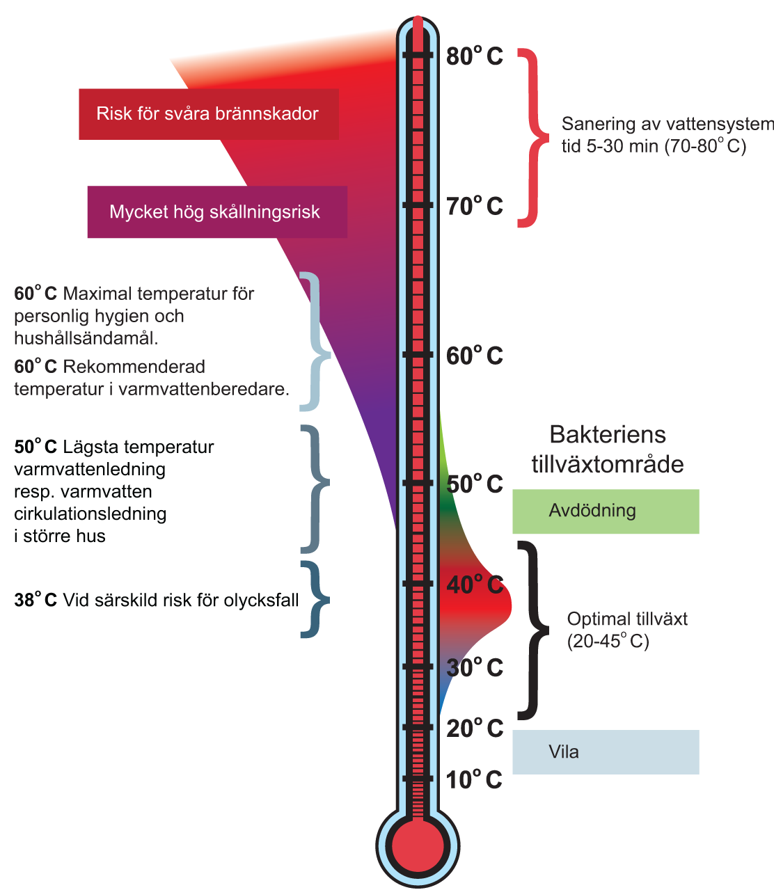 Illustrationen visar temperaturområde för legionellbakterien.