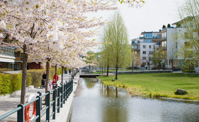 Vy från ett vattenområde i Stockholm. 