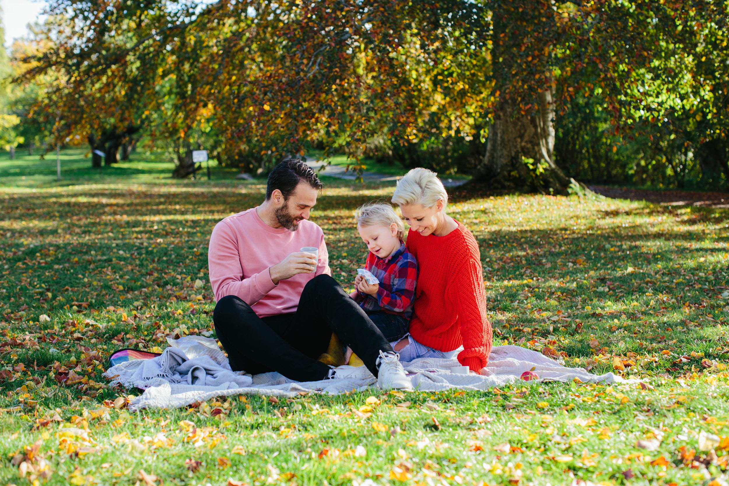 Familj som har picknick i en park.