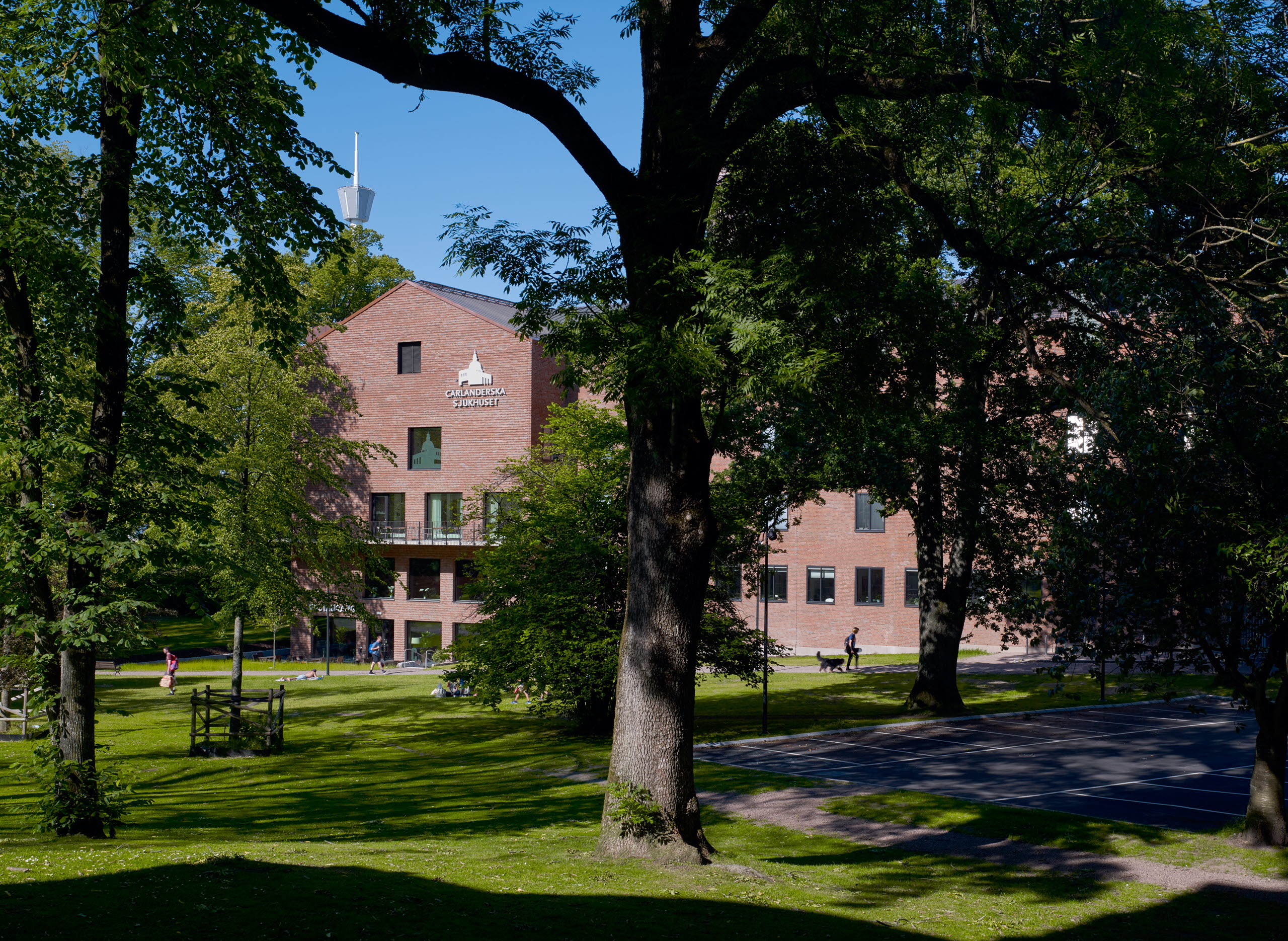 Fotografi av träd från parken runt sjukhuset med den nya tillbyggnaden i bakgrunden.