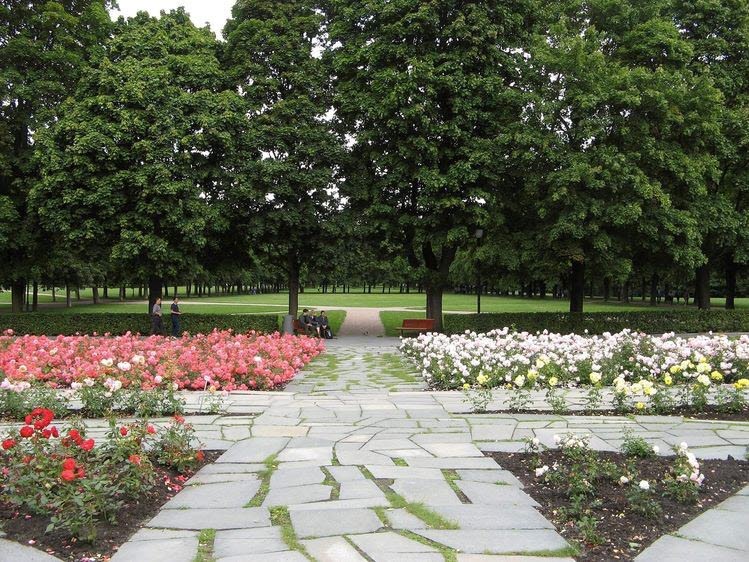 Stenlagda gångar framför ett skogsområde. Mellan gångarna växer vita och röda blommor.