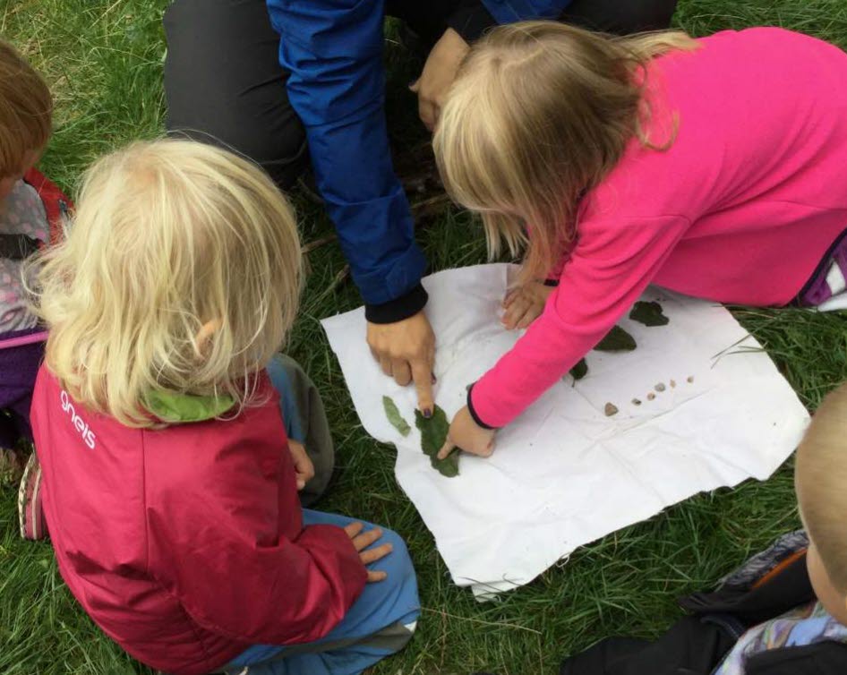 Barn som räknar löv som ligger på ett vitt papper utomhus på en gräsmatta.