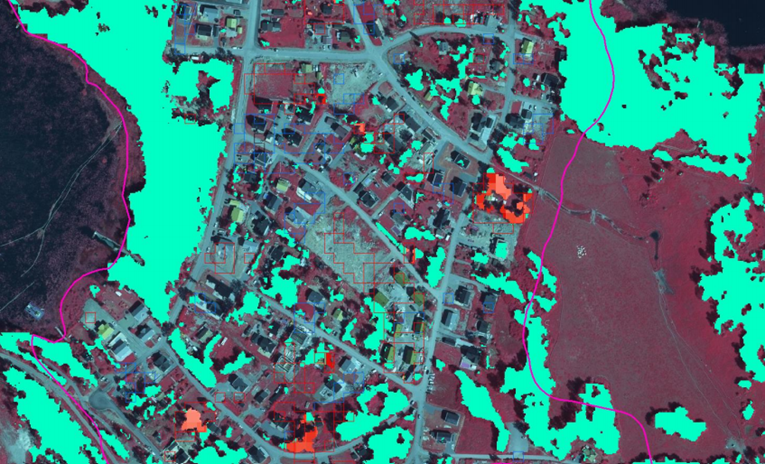 Bilden visar ett utsnitt med karterad trädtäckning (grönt) 2019 och förändringar från 2020 (röda och blå vektorer). 