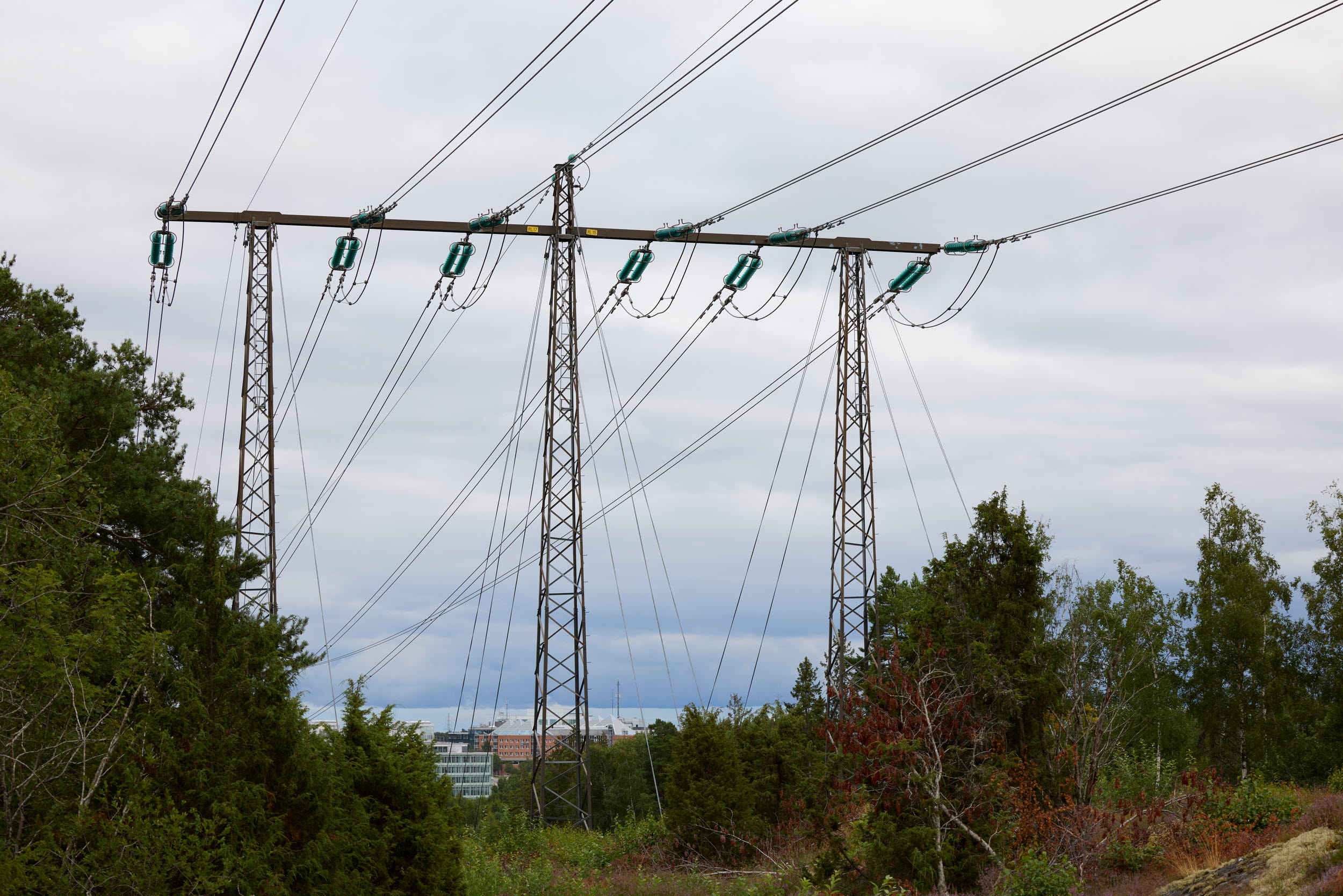 Kraftledningar över skogsmark. Bebyggelse syns i bakgrunden.