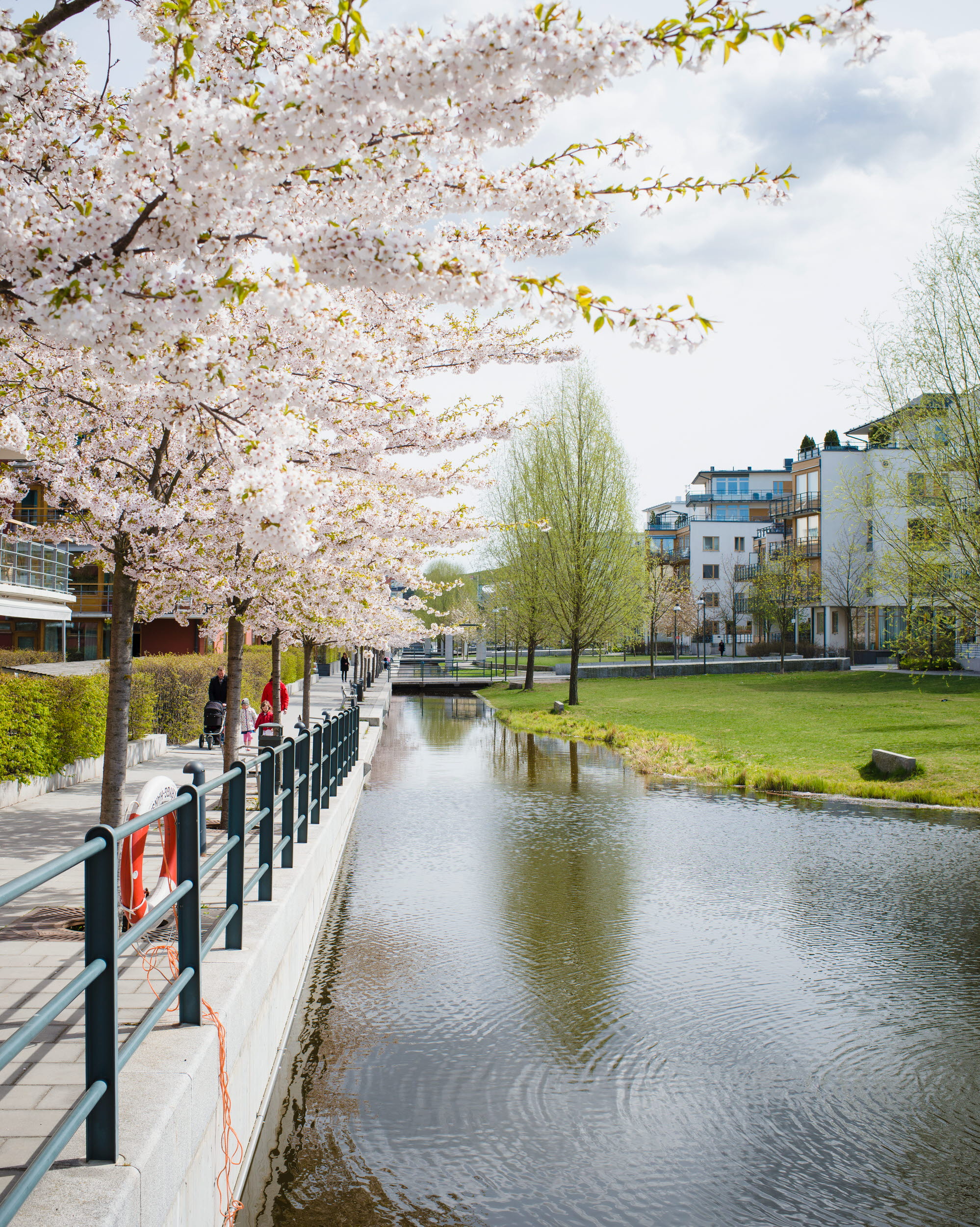 Bostadshus i Stockholm med vatten framför. 