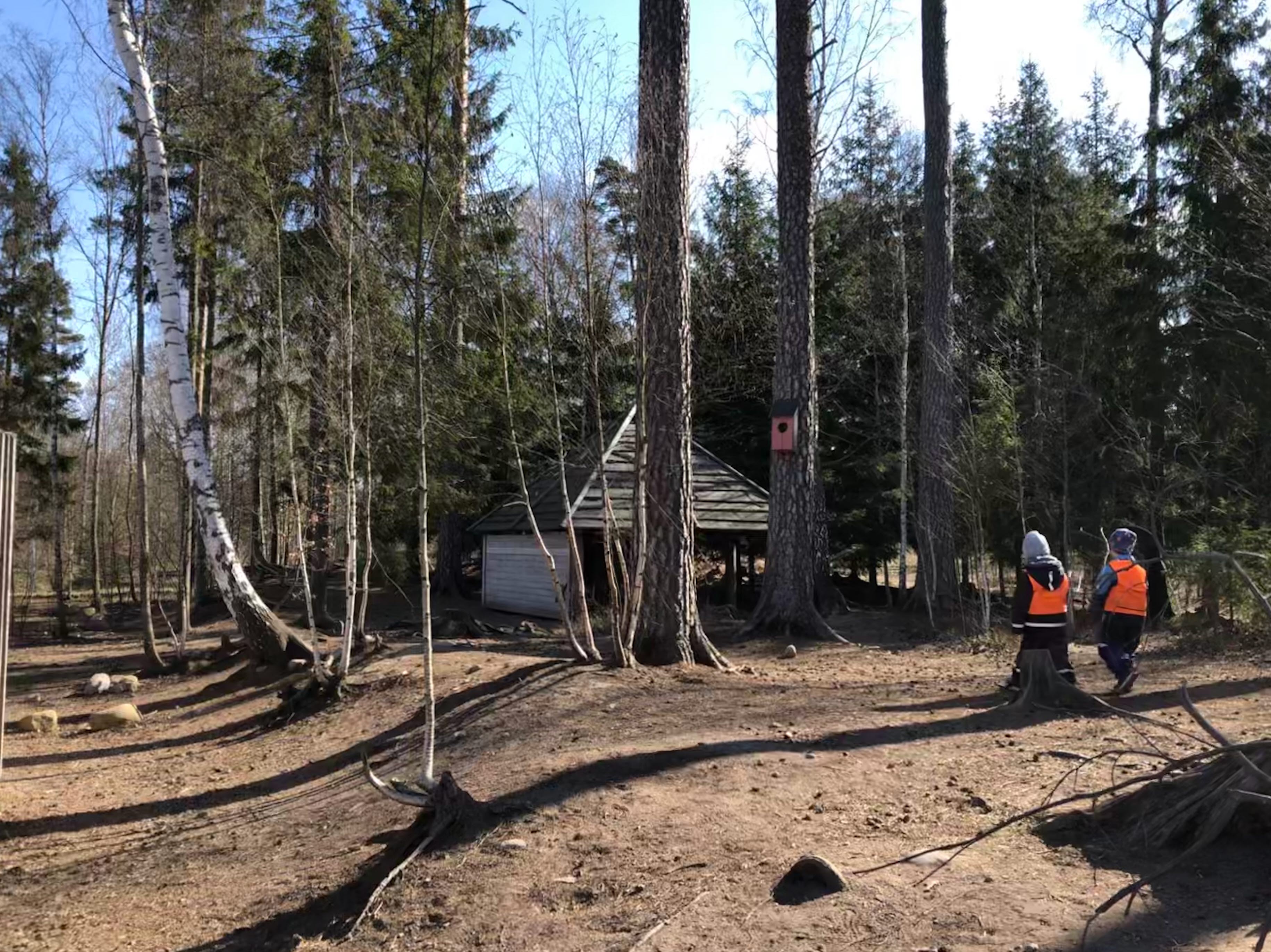 Två barn med reflexvästar leker i skogen.