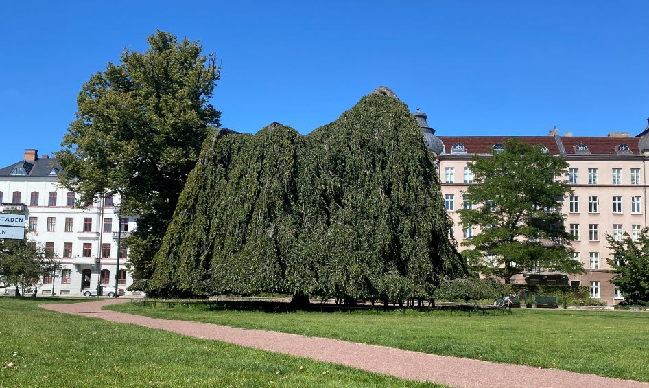 Magistratsparken i Malmö med en stor hängbok som dominerar bilden. 