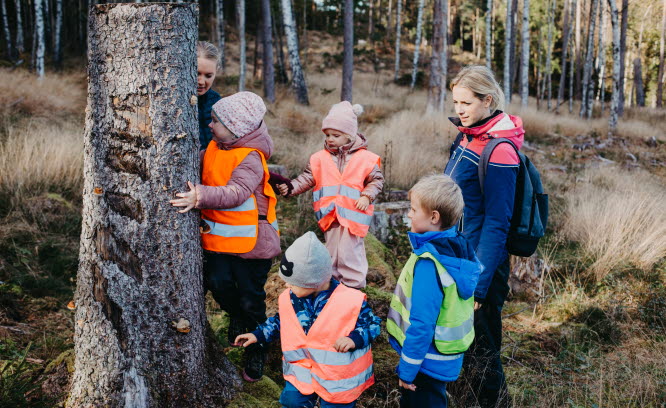 Barn i reflexvästar i skogen som kramar ett träd.