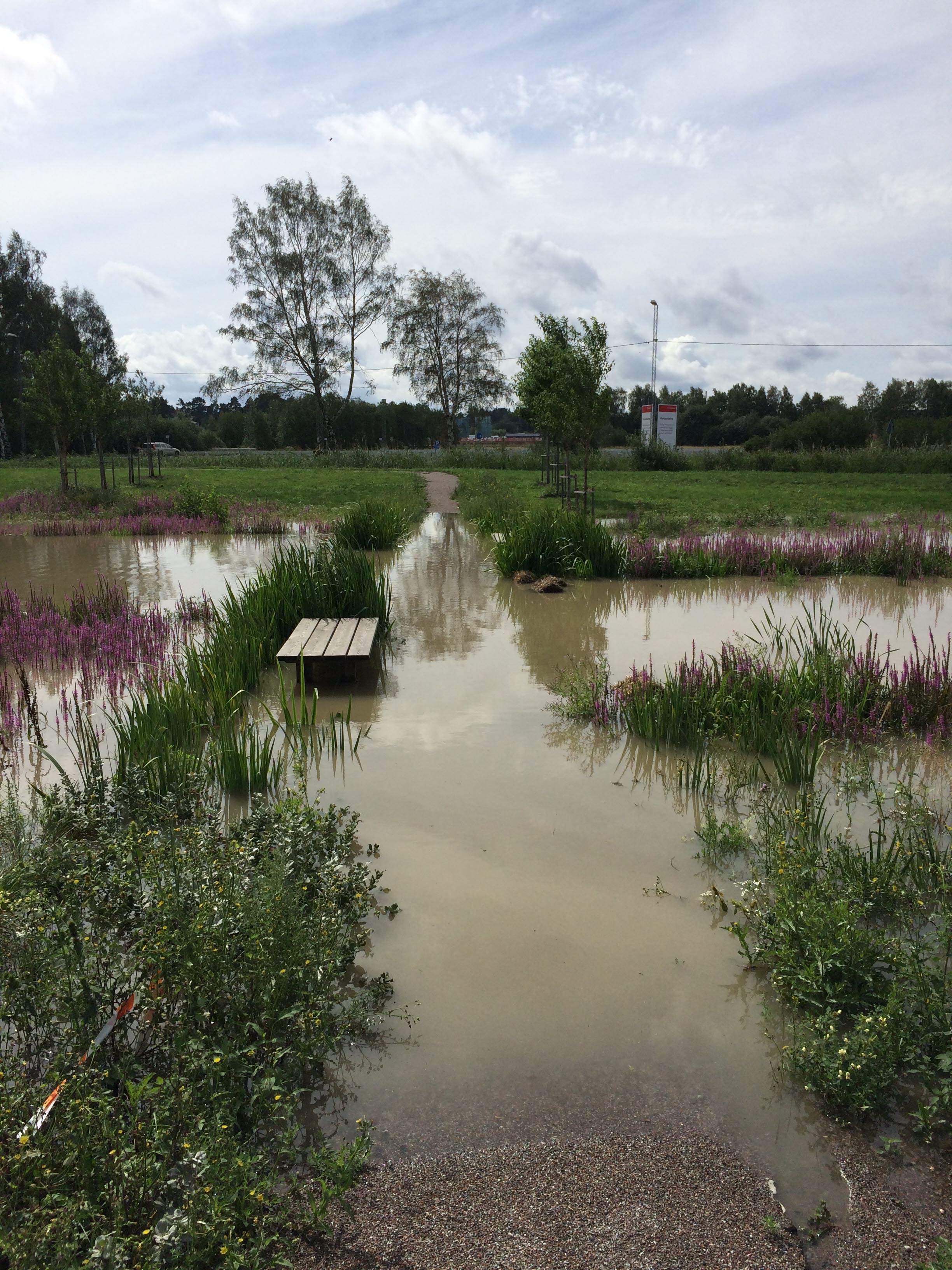 Översvämmade gångar i en park.