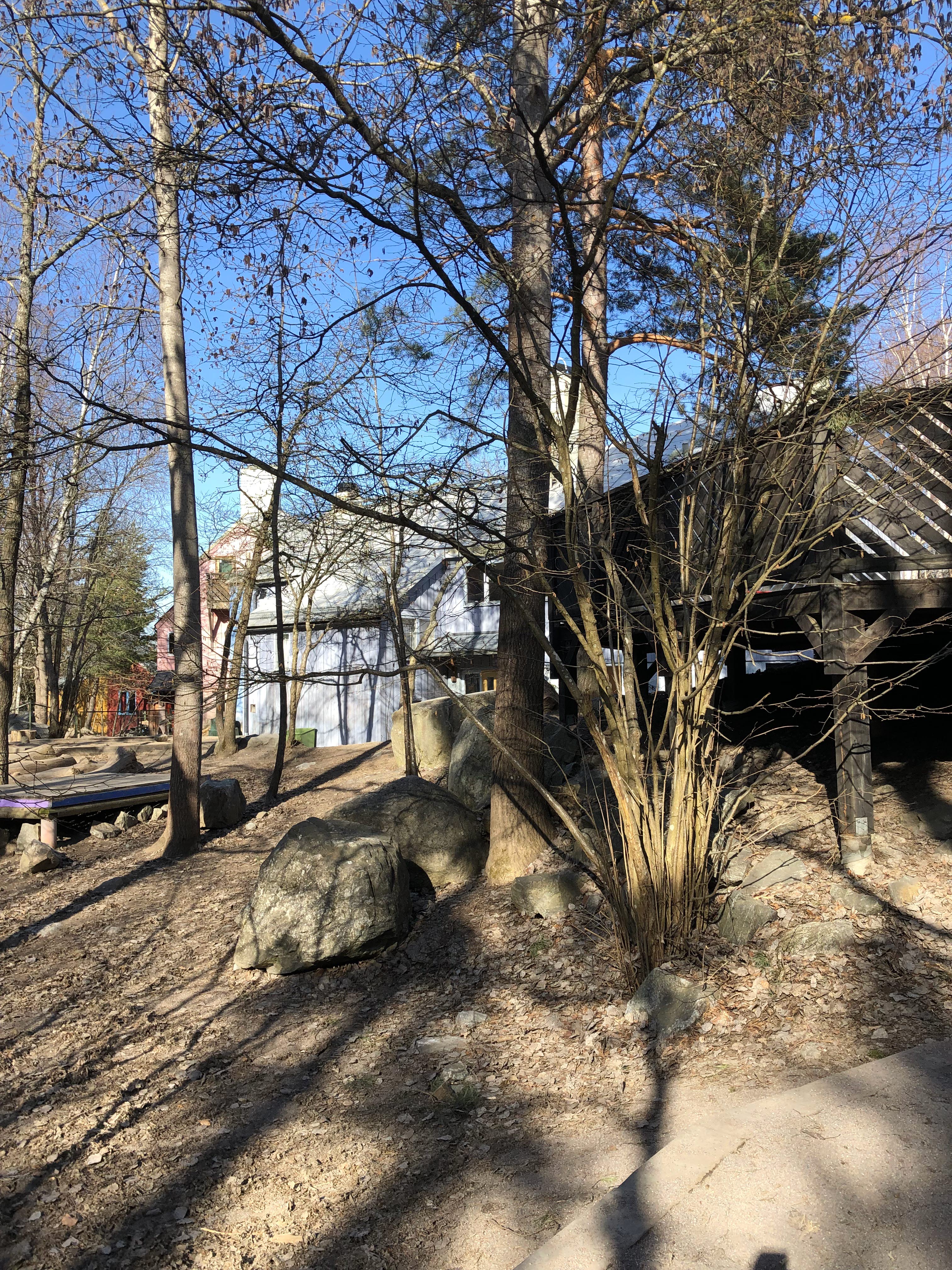 Naturlig vegetation i form av stenar, buskar och träd som finns framför en byggnad.