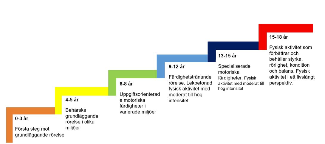 Trappa i 6 steg som illustrerar motoriska färdigheternas utveckling under människans första 18 år.