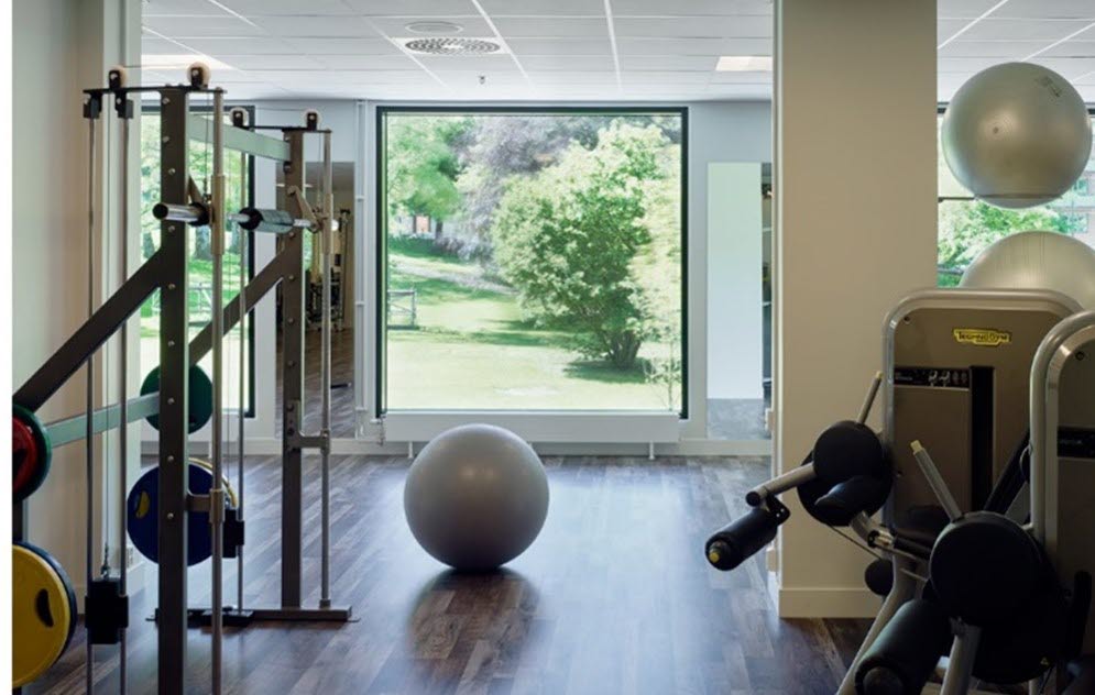 Foto i ett gym med maskiner och pilatesboll. I bakgrunden finns ett stort fönster över grönamiljö utanför.