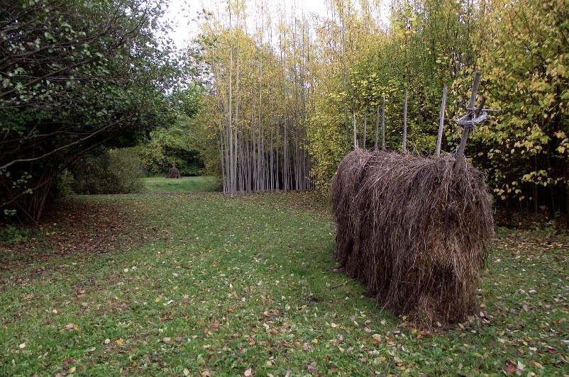 Öppet fält med skog runt omkring. Mitt på fältet står en höhässja full med hö.