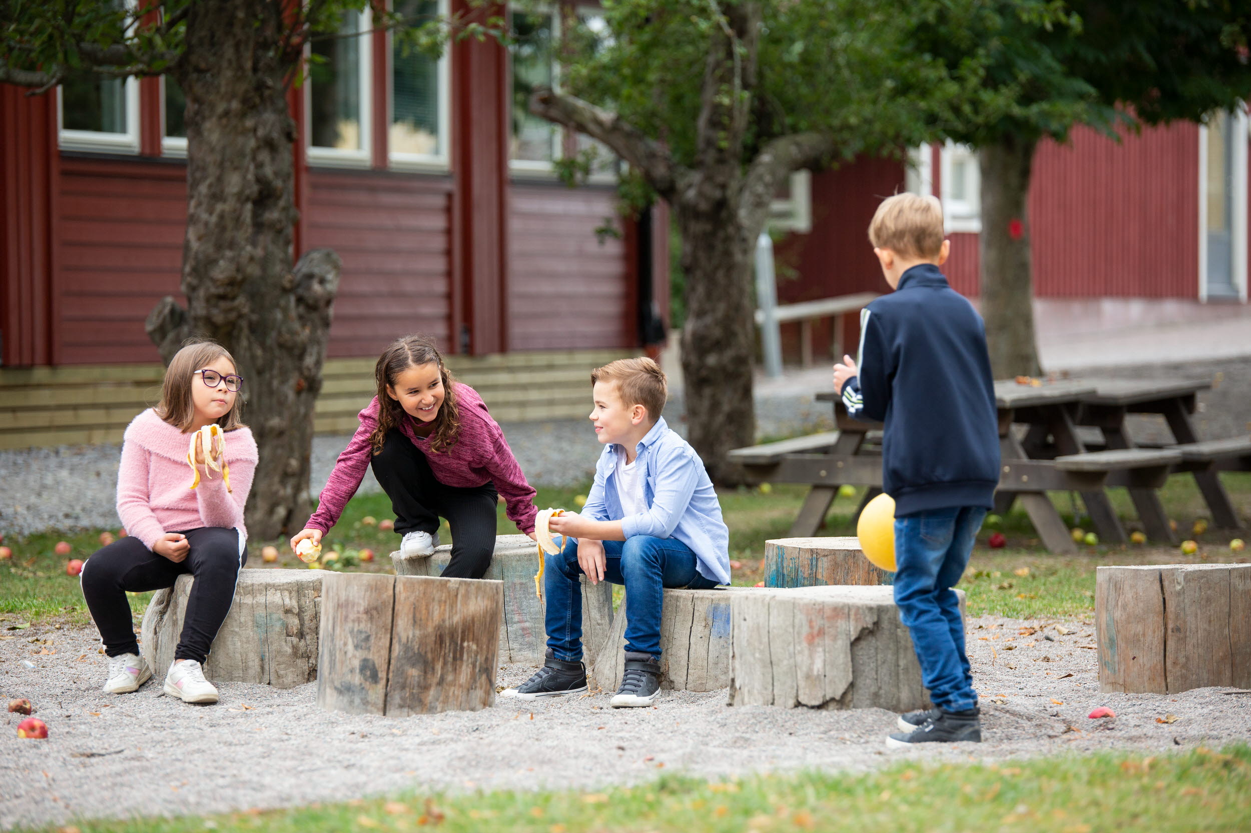 Fyra barn som sitter och står vid stubbar och har sin fruktstund.