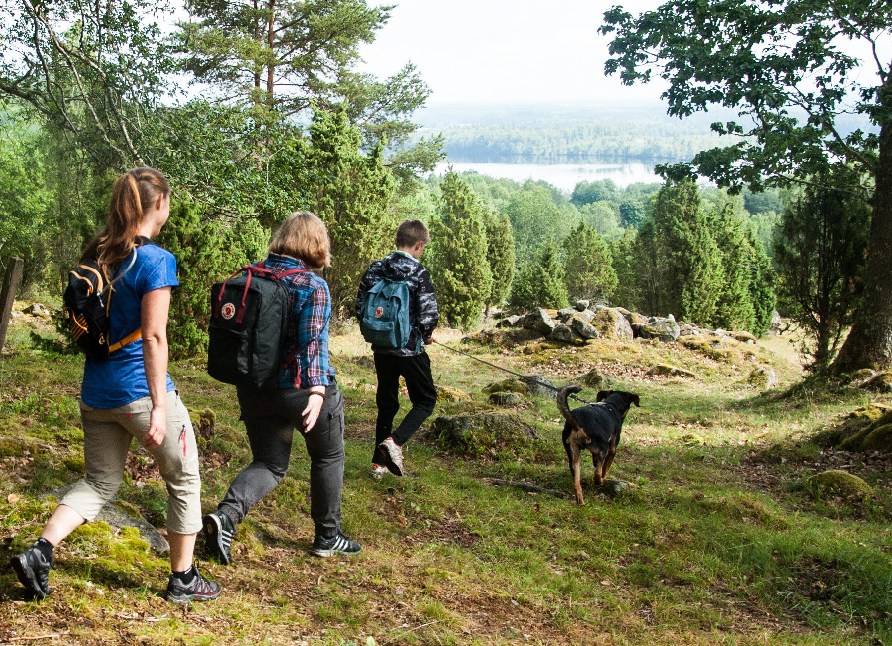 Barn med ryggsäckar och en hund som går i skogen.