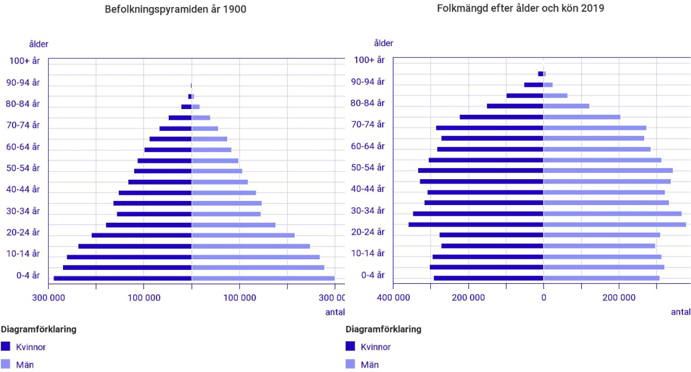 Diagram över befolkningspyramid.