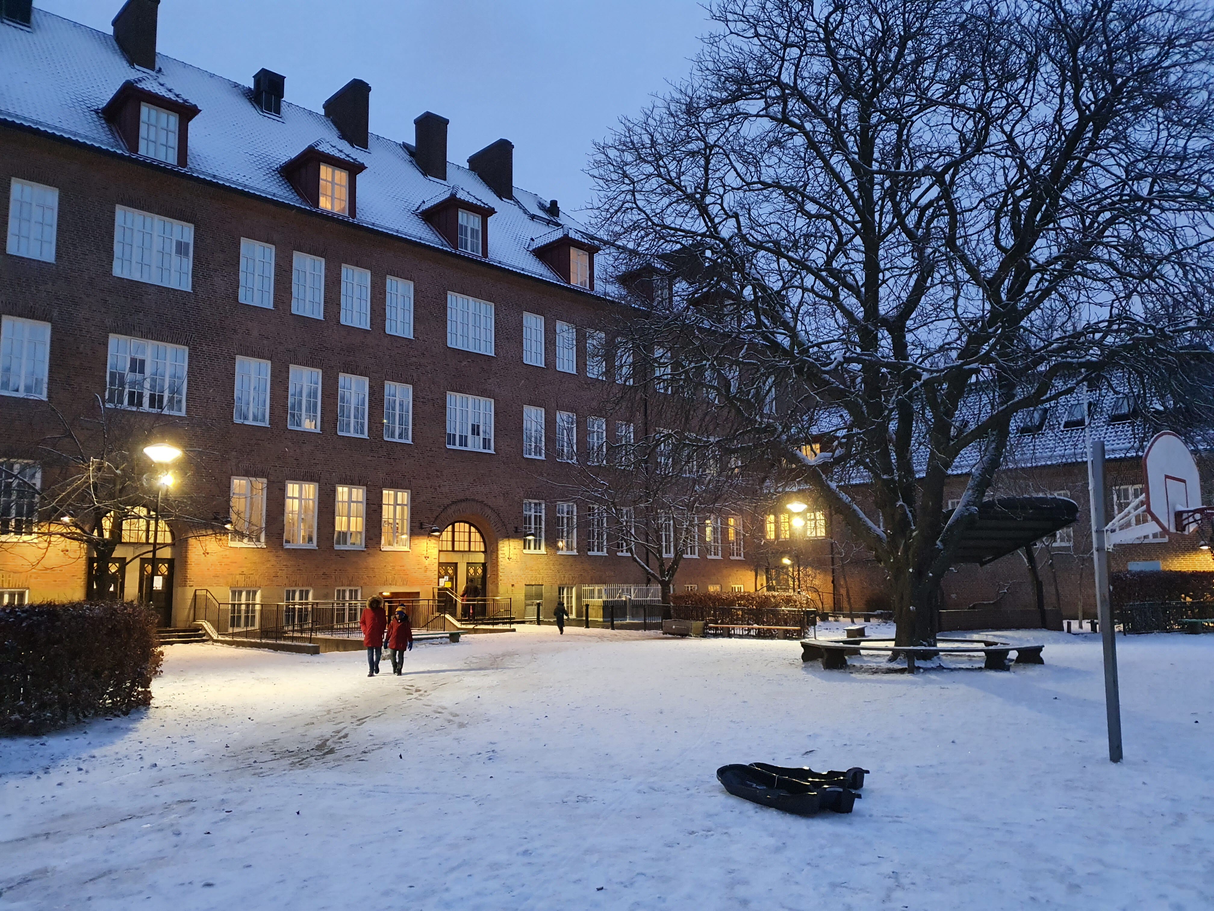 Snötäckt skolgård som är upplyst. Mitt på gården finns ett stort träd.