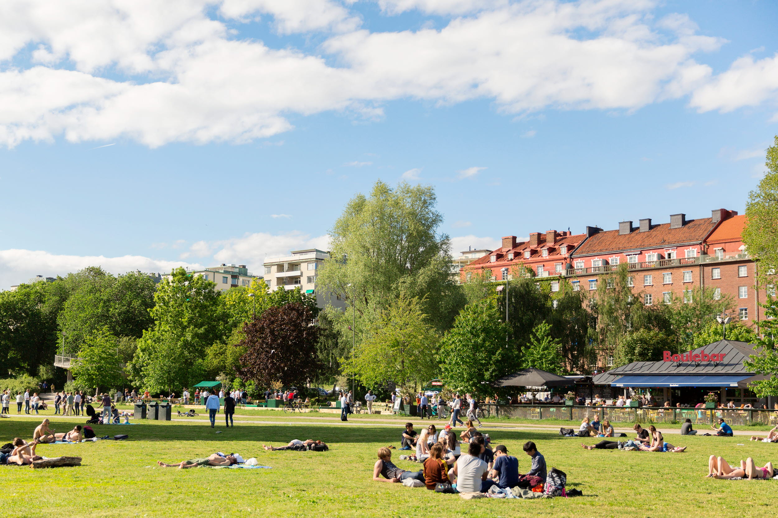 Människor som har picknick i en stor park.