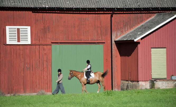 Flicka rider på en häst vi en röd ladugård. Person går bredvid hästen.