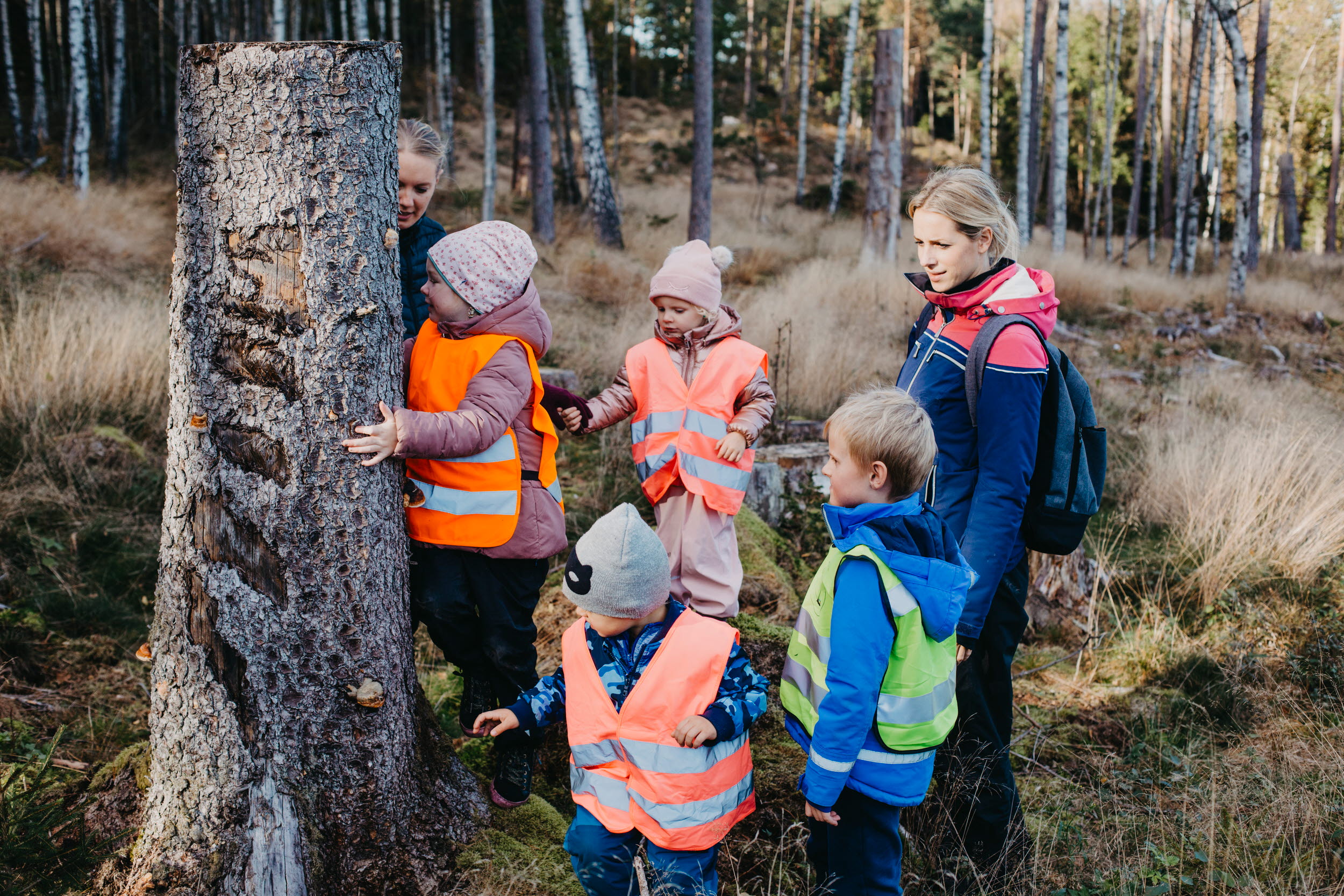 Barn i reflexvästar i skogen som kramar ett träd.