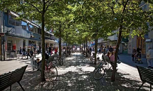 Skuggande trädrad på solbelyst lågfartsgata med människor.