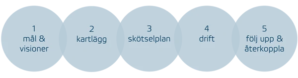 Process för förvaltning