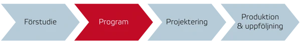Program i processen