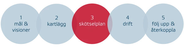 Skötselplan