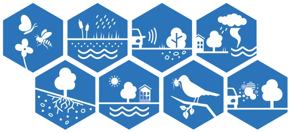 Åtta ikoner som illustrerar reglerande ekosystemtjänster.