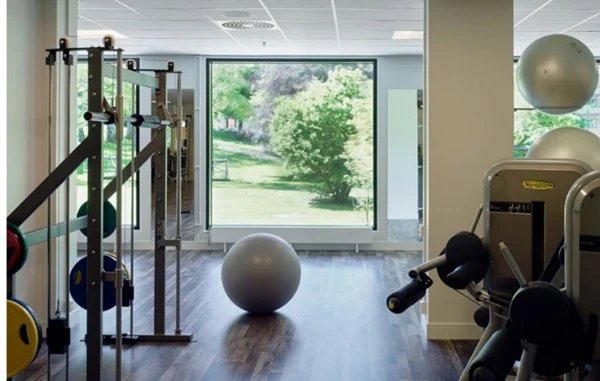 Foto i ett gym med maskiner och pilatesboll. I bakgrunden finns ett stort fönster över grönamiljö utanför.