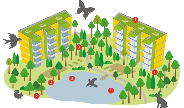 Naturens betydelse